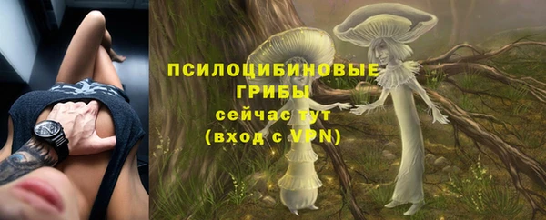 a pvp Козловка