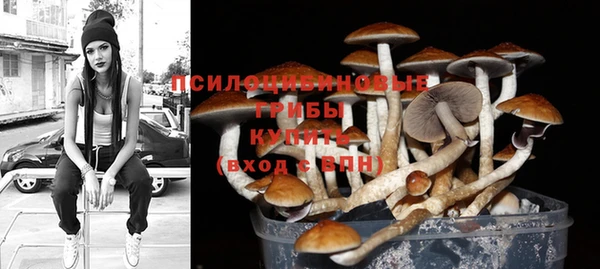соль курить ск Козельск