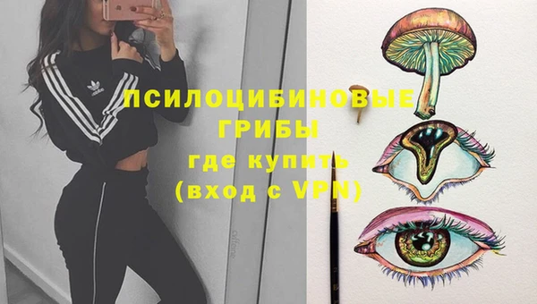 прущий лед Корсаков
