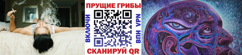 Галлюциногенные грибы Psilocybine cubensis  Купить где  Бородино 